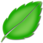 Jellymint Logo